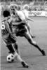 bild6a.jpg (45kb)